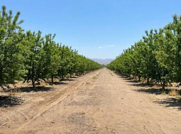 Campo · 700000m² · Finca en Anchoris
