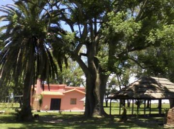 Campo · 530ha · 12 Ambientes · Campo en San Jeronimo del Sauce, Mixto, Alquilado