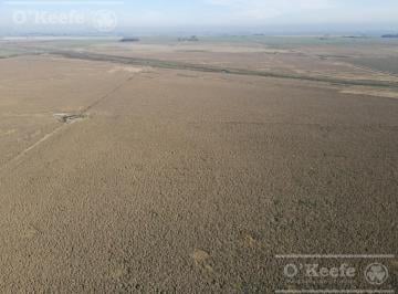 Campo · 2170000ha · Campo en Venta de 217 Has en Rosario