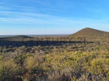 Campo · 5000m² · Century 21 Lucio Barroso Vende Campo en San Rafael