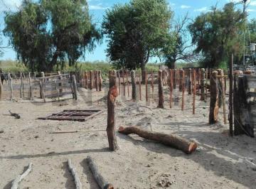 Campo · 5000m² · Campo en Venta en San Rafael