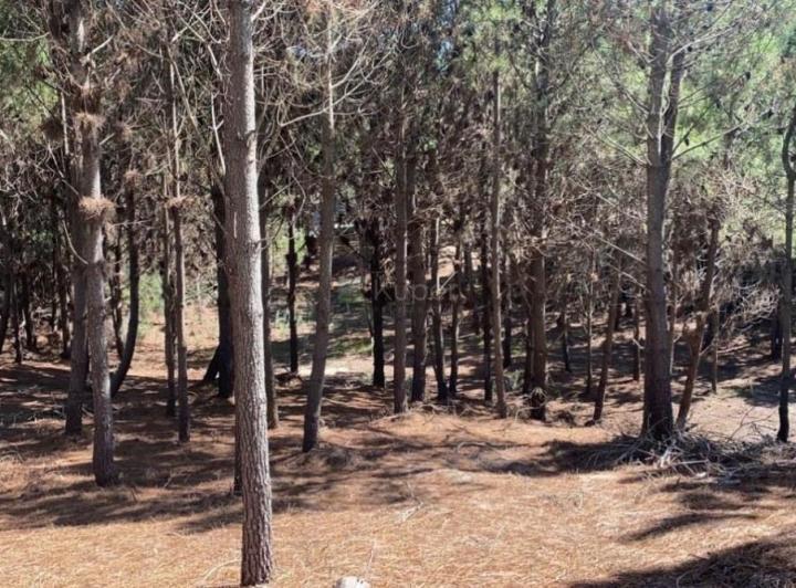 Terreno · 961m²