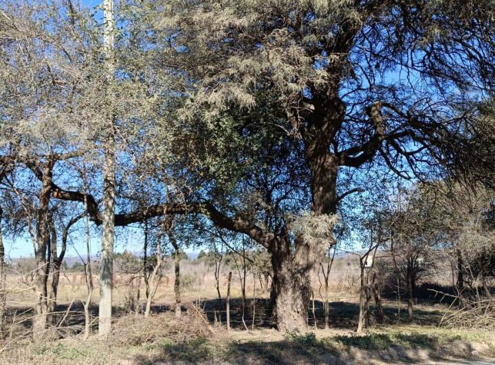 Terreno · 800m²