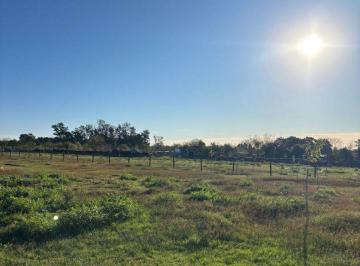 Terreno , Escobar · Venta Lotes - Barrio del Las Flores - Loma Verde - Escobar