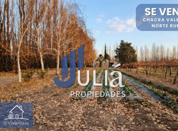 Campo · 250m² · 5 Ambientes · Chacra en Producción - Apta Base - Valentina Norte Rural - Neuquen