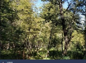 Terreno · 825m² · Amarra - Bandurrias