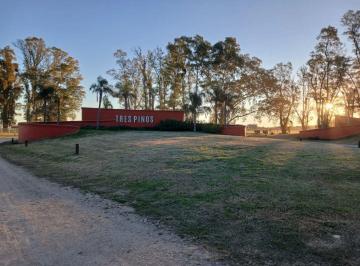 Terreno · 1000m² · Venta de Lote, Complejo Tres Pinos, Barrio Norte de 1.000 m²