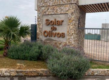 Terreno , General Gutiérrez · Venta Lote Solar de Olivos