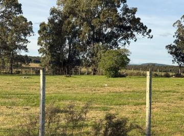 Terreno · 7683m² · Terreno Venta de 7683 m² Sobre Ruta 8 Lavalleja