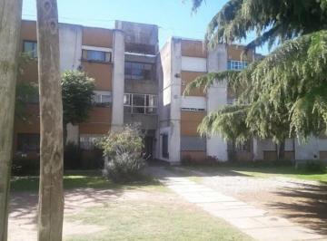 Departamento de 4 ambientes, Mar del Plata · Departamento de 60 m² con 3 Dorm. en Alquiler en Polonia E Irala