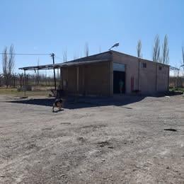 Bodega-Galpón · 180m² · 1 Ambiente · 1 Cochera · Alquiler - Galpón de 168 m² - Ruta 22 - Gral Fernandez Oro