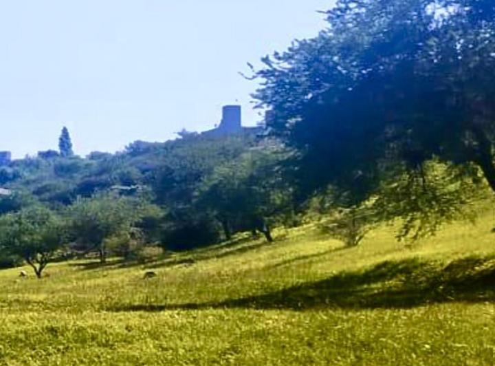 Terreno · 1127m²