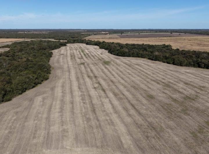 Campo · 300m²