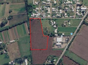 Terreno , Colonia Tirolesa · Vendo Lote de 26.500 m² (Formado X 5 Lotes de 5.000 a 5.500 m² c/u Aprox) Usd 930.000