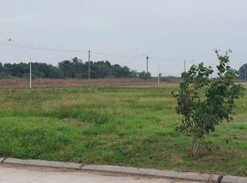 Terreno · 368m² · Venta Lote Nª 24/ Sunchales/ Bªsolaro