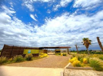 Terreno · 400m² · Venta Lote Junin Mendoza
