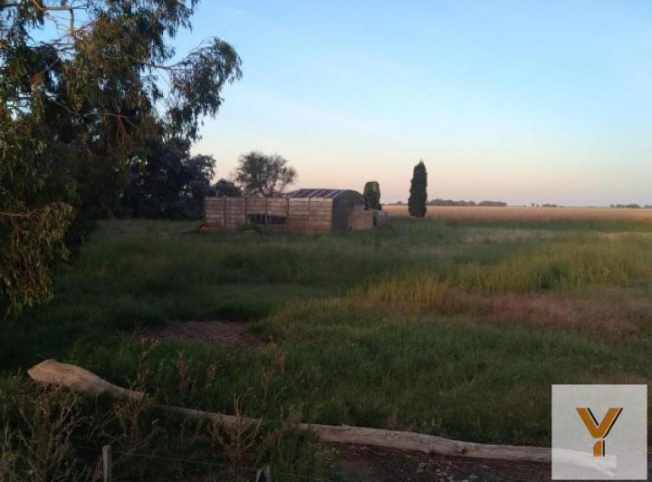 Campo · 280ha