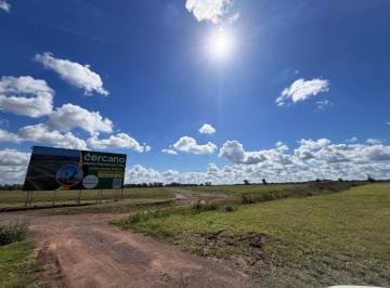 Terreno · 300m² · Venta Terreno - 300 m² - Ricardone, Santa Fe