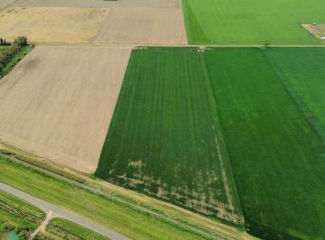 FUG-SPF-1290_2 · Campo en Venta Zona Rural Soldini