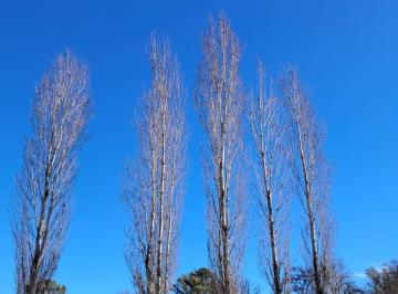 Terreno · 10000m² · Vende Lote 10.000 Comarcas de Lujan Santa Matilde