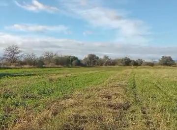 Campo · 50000m² · 1 Ambiente · Campo de 5 Hectáreas con Riego, Cruz del Eje, ¡Gran Ubicación!