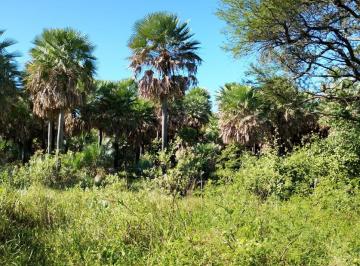 Terreno , Tres Lagunas · Se Vende Campo en Formosa