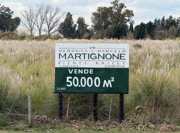 Campo · 50000m² · 1 Ambiente · 5 Ha Industriales en Venta Sobre Colectora Autovía, Ruta 8