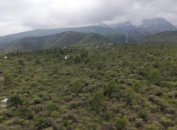 Terreno · 26966m² · Se Venden 2,6has Camino a Cerro La Ventana en Los Hornillos