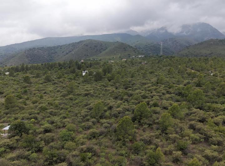 Terreno · 26966m²