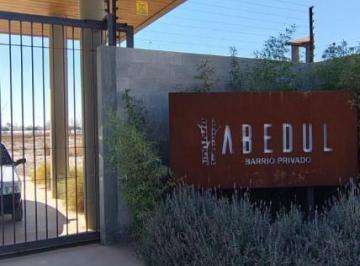 Terreno · 500m² · Greenwood Vende "Lote en Barrio Privado Abedul"