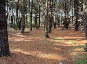 Terreno · 655m² · Lote en Costa del Este Ubicación Ideal Zona Mas Buscada