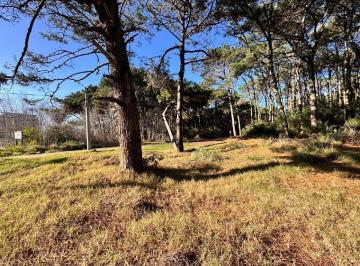 Terreno , Costa del Este · Lote en Venta Costa del Este