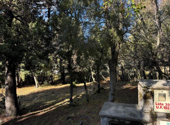 Terreno · 709m²