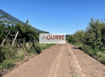 Campo , Cañada Seca · Oportunidad de Inversión en Finca de 5ha, con Producción Completa