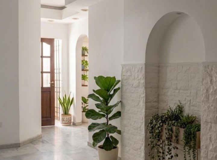 Departamento · 60m² · 3 Ambientes