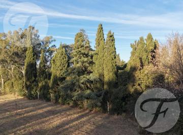 Terreno · 4028m² · Lote de 4.028 m² en Villa Jardín | San Pedro, Buenos Aires | Entorno Arbolado