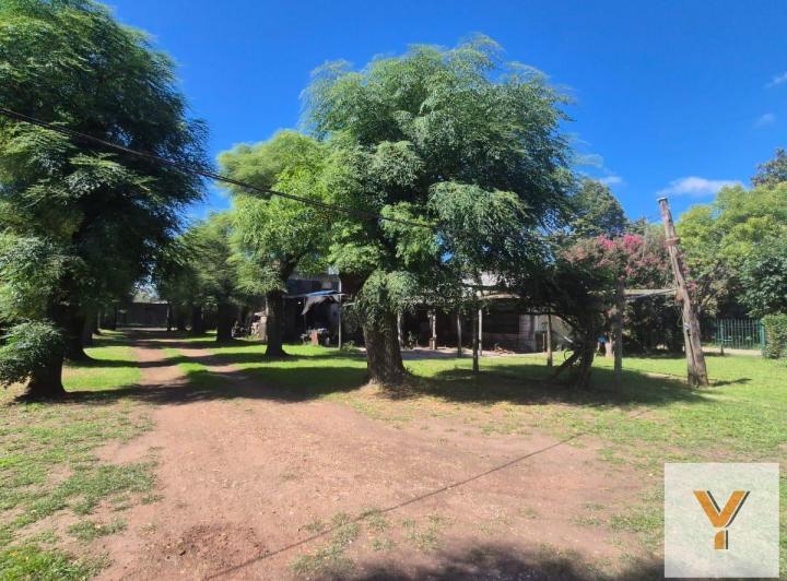 Local comercial · 285m² · 4 Ambientes · 2 Cocheras