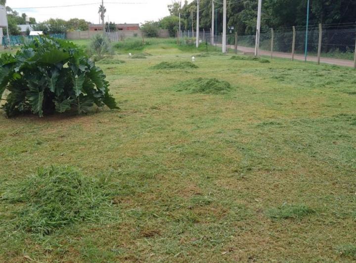 Terreno · 461m²