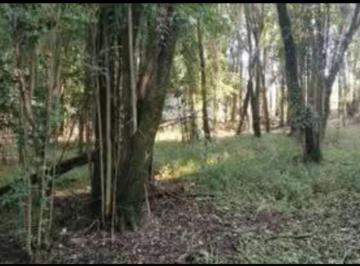 Terreno · 3150m² · Terreno - Salsipuedes