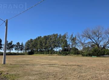 Terreno · 1500m² · Ldo Venta Lotes 1500 m² Gas Natural Electricidad Agua Corriente Barrio Los Pinos
