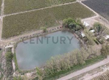 Campo · 143m² · Venta Fincas Montecaseros, San Martín, Mendoza".