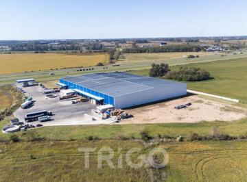 Depósito · 11000m² · 1 Ambiente · Depósito Logístico Nave Industrial Galpón Aaa en Venta Autopista Panamericana Zarate