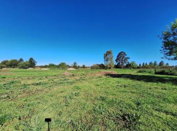 Terreno · 5500m² · Lote en Venta Arturo Segui La Plata 5500 m²