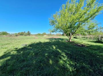 Terreno · 5500m² · Lote en Venta Arturo Segui La Plata 5500 m²