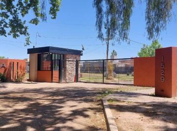 Terreno , Perdriel · Lote en Venta - Lujan de Cuyo