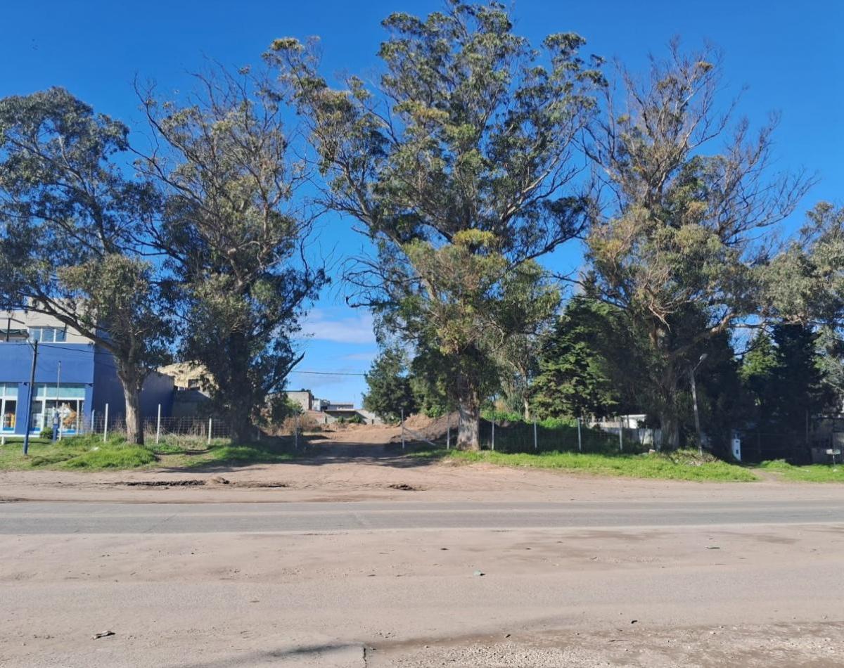 Lotes en venta sobre Av. Jorge Newbery, 1457 m², El Jardin De Stella Maris