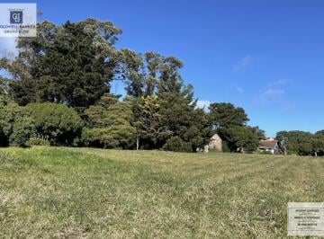 Vista del lote · Venta Terreno en Barranca de Los Lobos Excelente Oportunidad!
