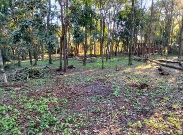 Terreno , Puerto Iguazú · Amplio Terreno de 2.550 m²