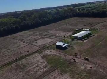 Campo · 95000ha · 3 Ambientes · Chacra en Alquiler 3 Ambientes en Open Door - Lujan
