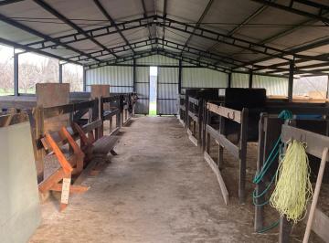 Campo · 100ha · 3 Ambientes · Chacra en Alquiler 3 Ambientes en Open Door - Lujan